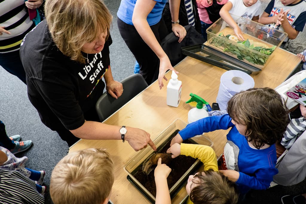 Several children touching a wildlife display while a lady talks to them. She is wearing a t-shirt that reads 'Library staff'.
